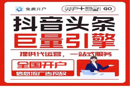信息流广告投放公司案例分析报告